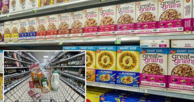 âCerealâ offender busted for sneaky shoplifting trick at grocery store checkout
